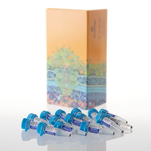 Streptavidin MagneSphere Paramagnetic 9 ml