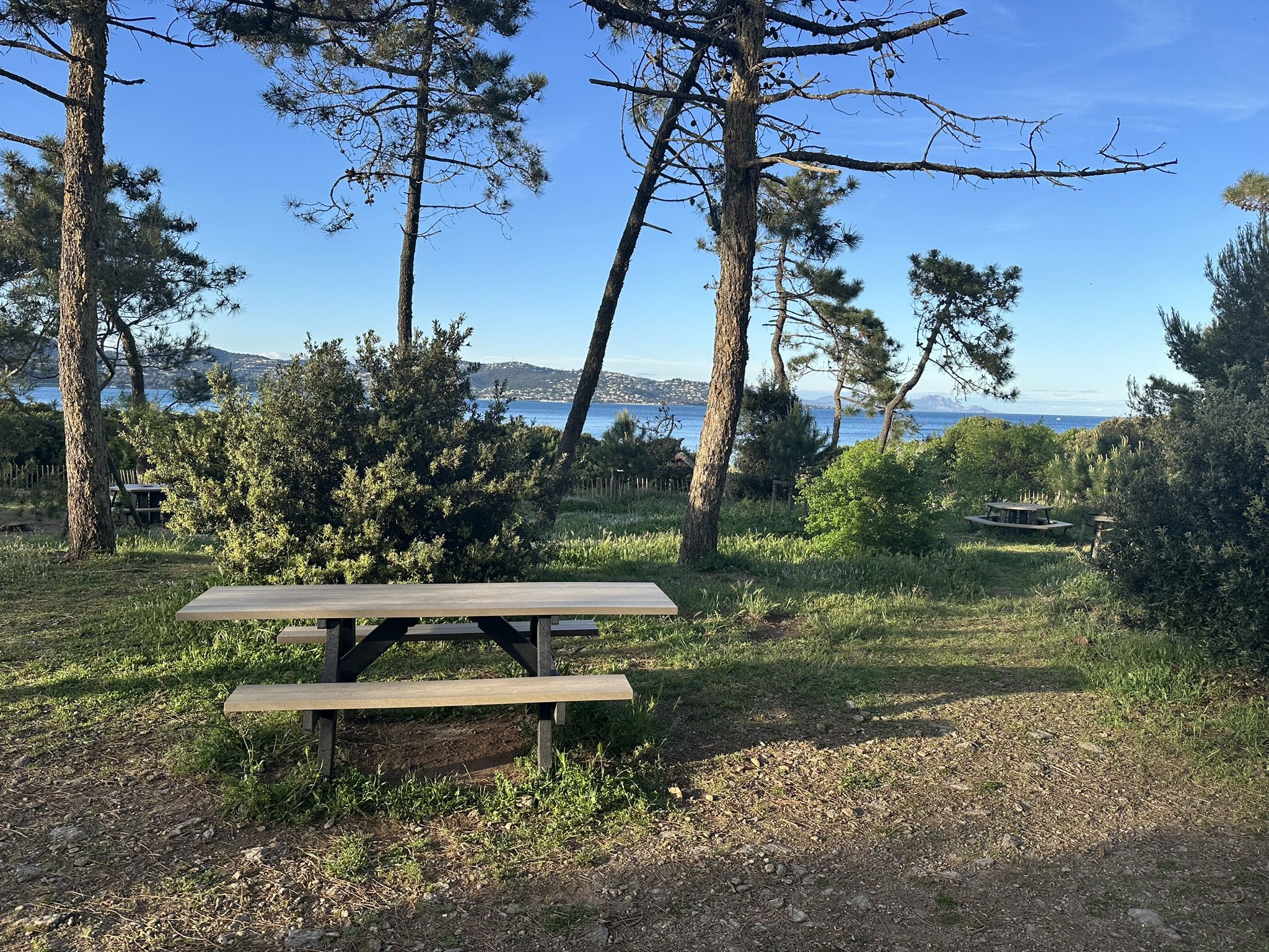 Table de pique-nique - banquettes solidaires PMR Forestier - lattes plastique recyclé - l. 200 cm - coloris standard