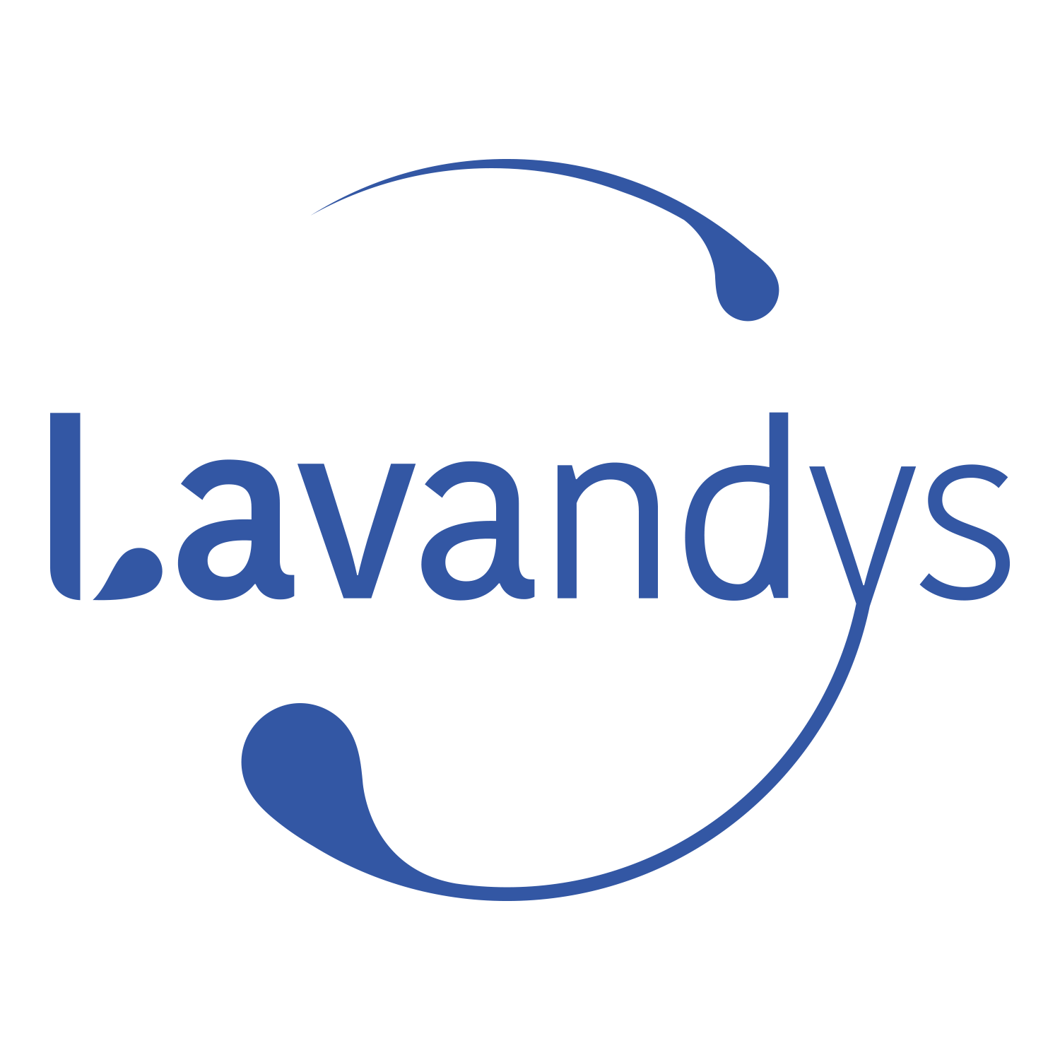 SAS LAVANDYS