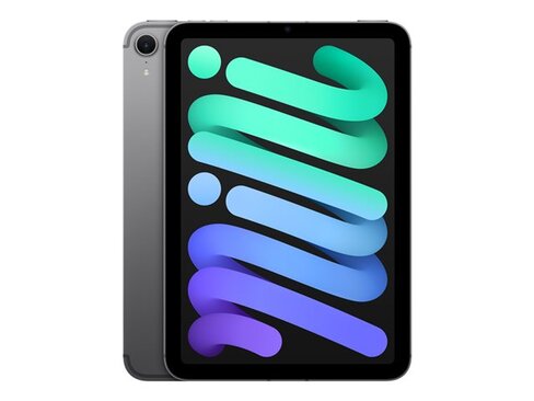 Tablette iPad mini A17 Pro - Wi-Fi + SIM - 8,3'' - 512 Go 3G, 4G, 5G - gris sidéral