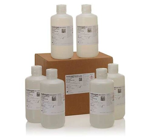 Cyto - Attune focusing fluid - 1 L - lot de 6