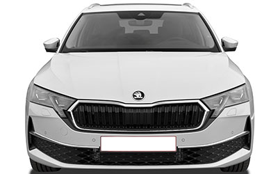 Skoda Octavia Combi 2.0 TSI 204 DSG7 4x4 Clever