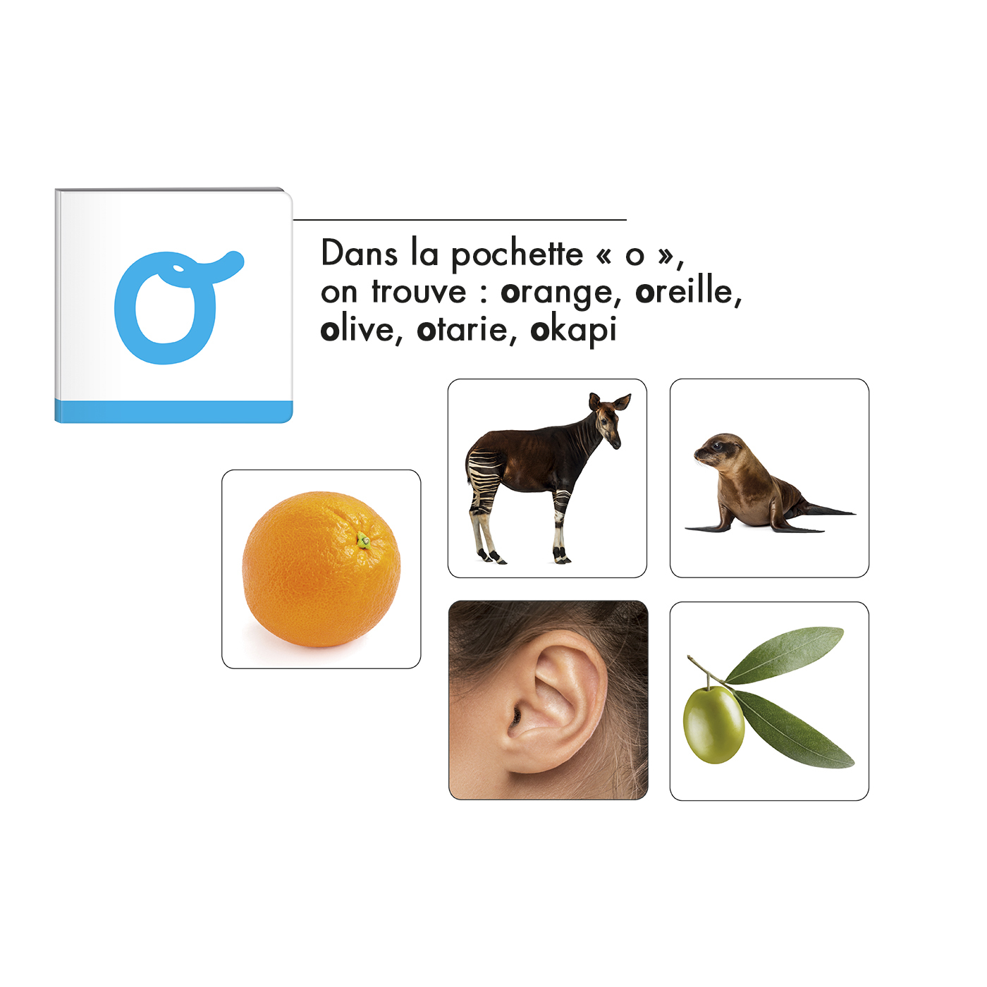 Activites de phonologie - Montessori par Nathan