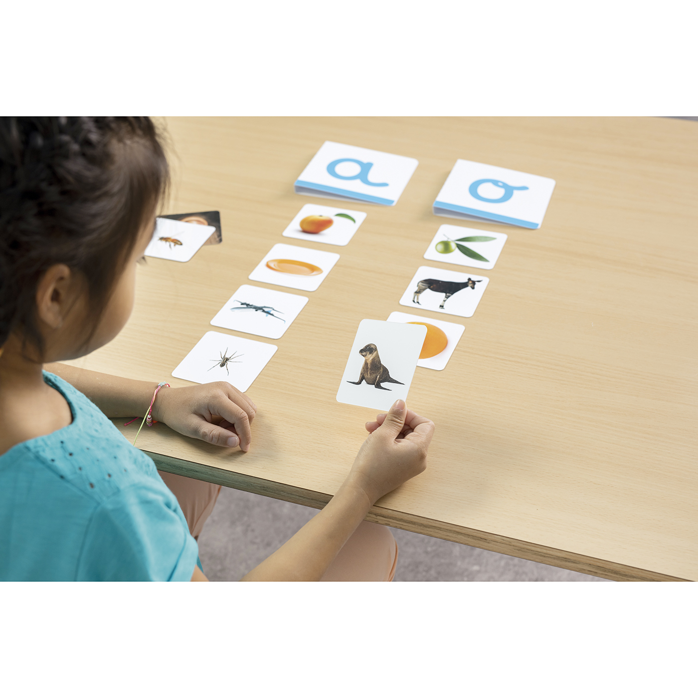 Activites de phonologie - Montessori par Nathan