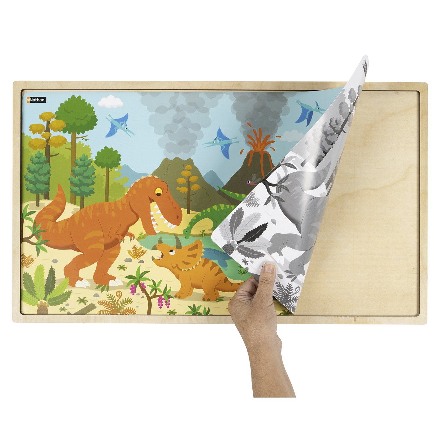 Puzzle bois -les dinosaures (96 p)