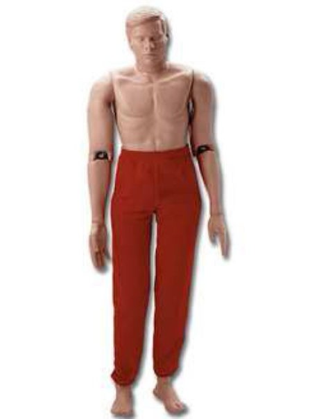 Mannequin de sauvetage adulte articulé terrestre 25kg randy