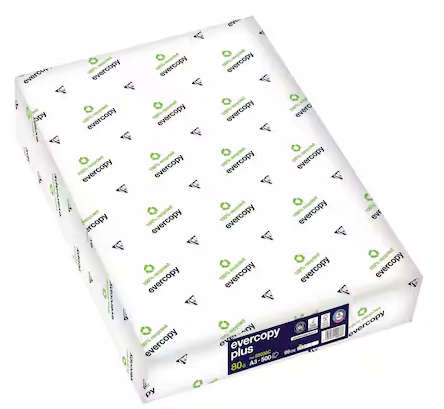 Papier blanc recyclé A3 80 g - 110 CIE - Evercopy plus - carton 5 ramettes - livré sans manutention