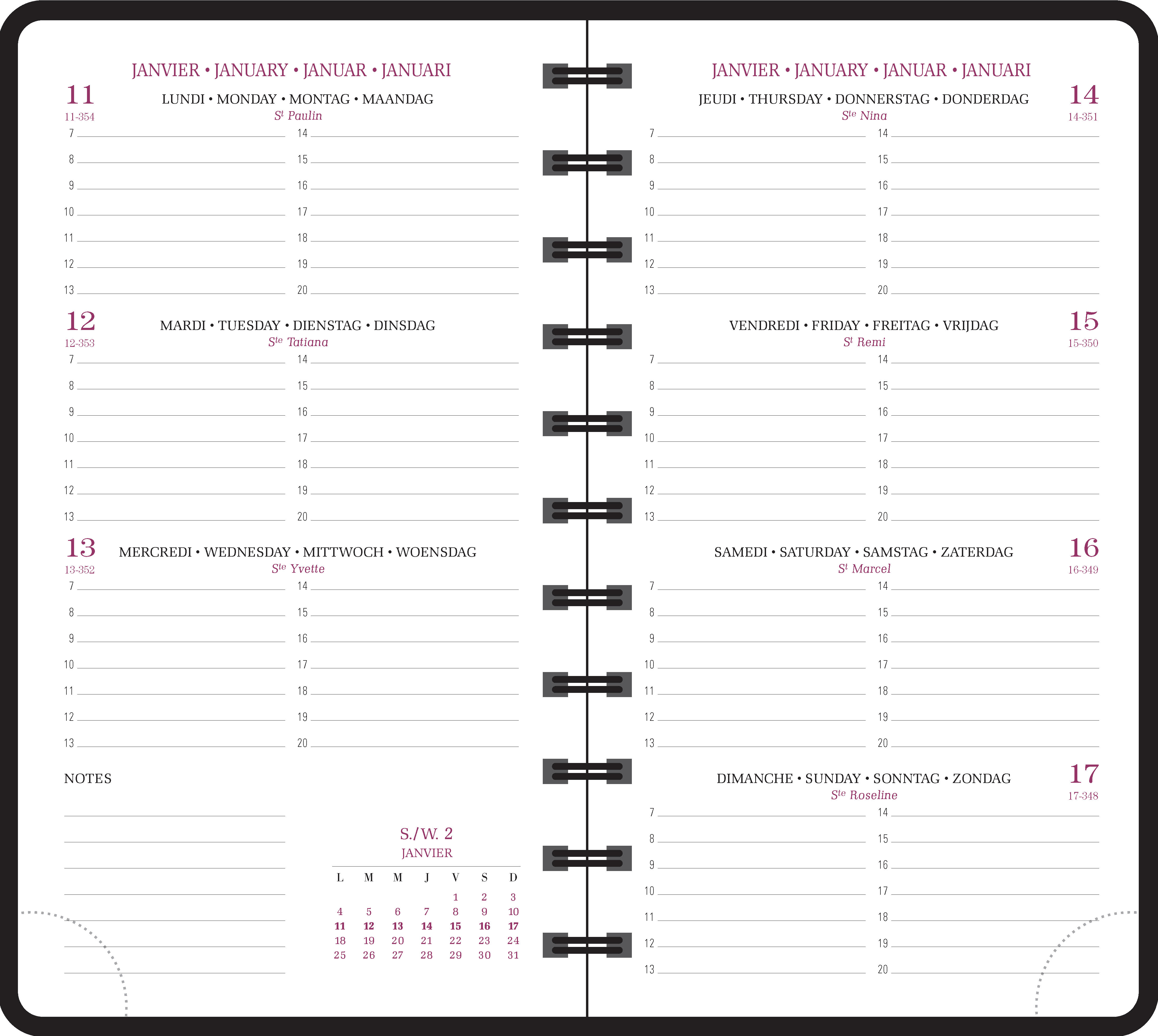 Agenda semainier Exacompta Chemin des Marettes - 2025 9 x 16 cm - ivoire