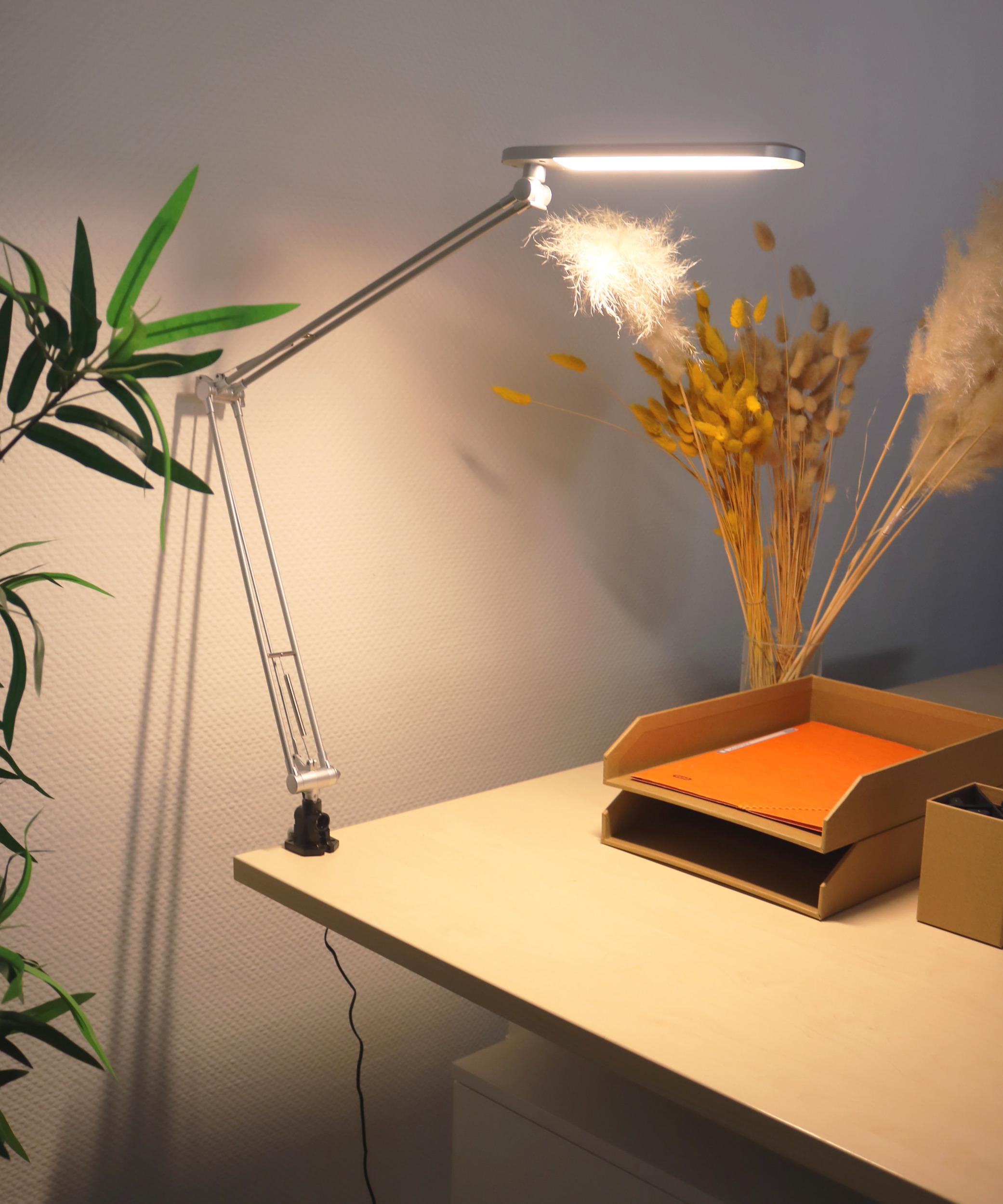 Lampe de bureau LED Mamboled gris