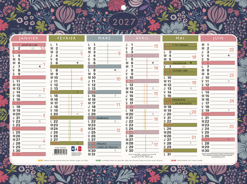 Calendrier illustré Mini Labo - 6 mois par face - 2027 - 29,5 x 22 cm