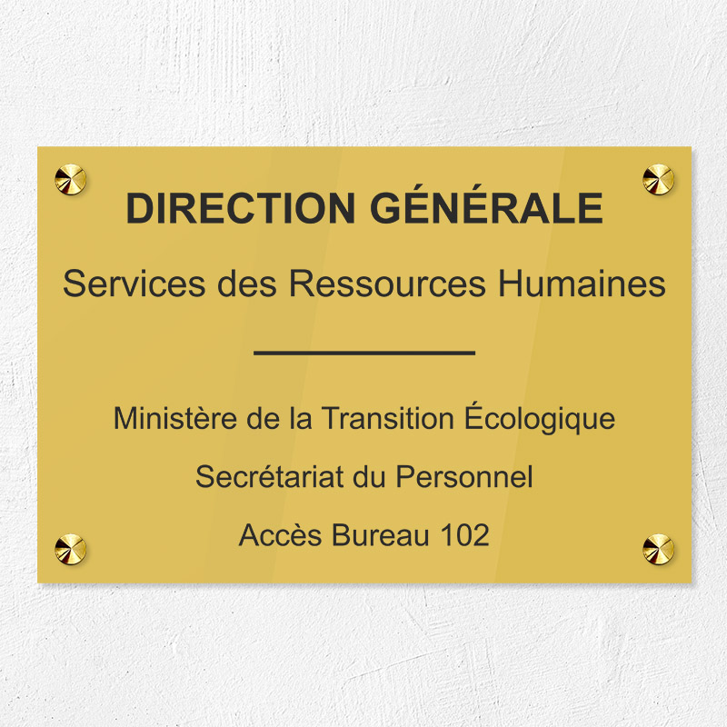 Plaque personnalisée Gravotech - 6 lignes maximum Plexiglas couleur - 30 x 20 cm - ép. 5 mm Gravure laser