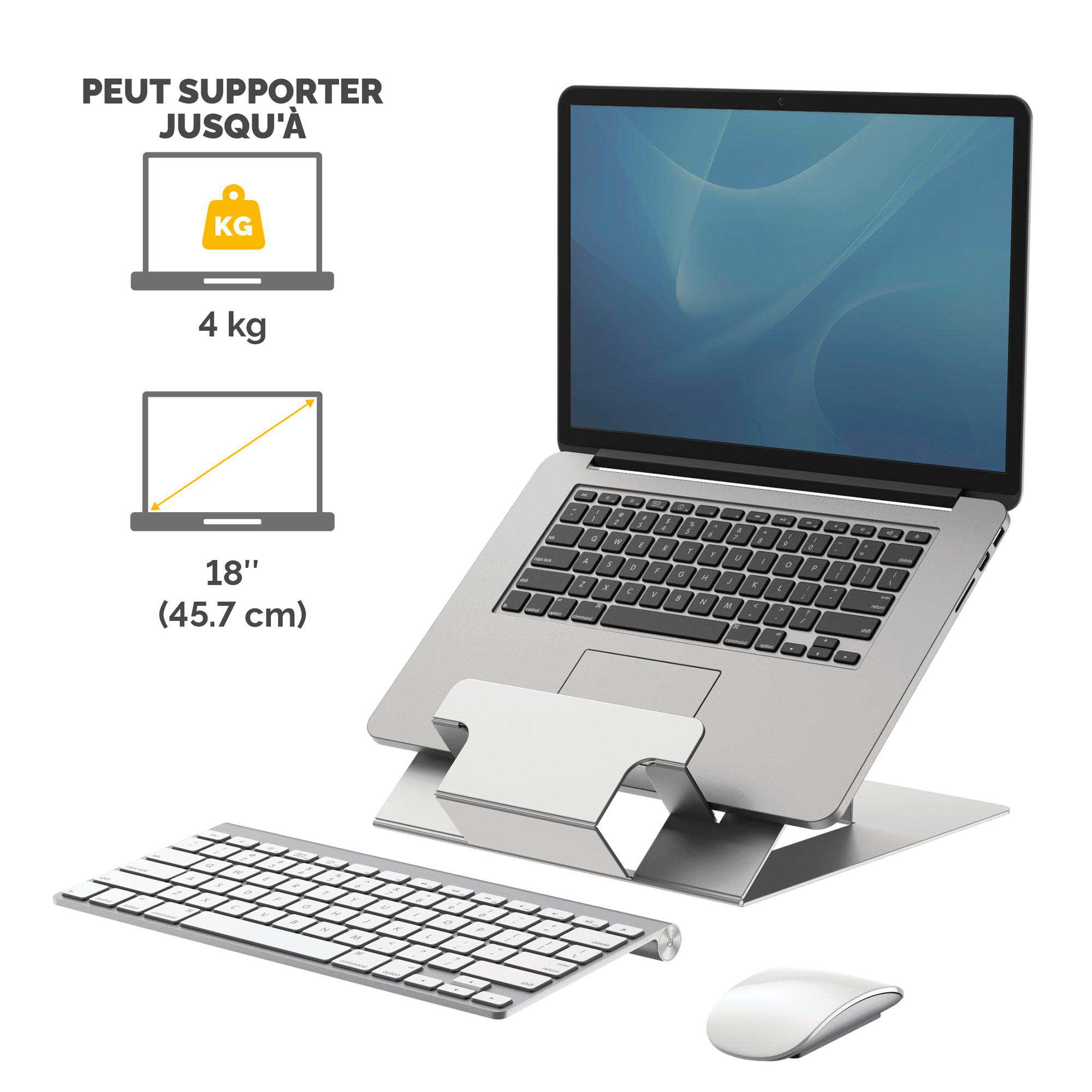 Support ordinateur portable Fellowes Hylyft - noir/argent