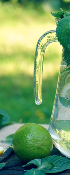 Contenu accroche + texte bouton