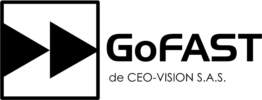 CEO-Vision