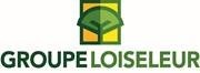 Groupe Loiseleur