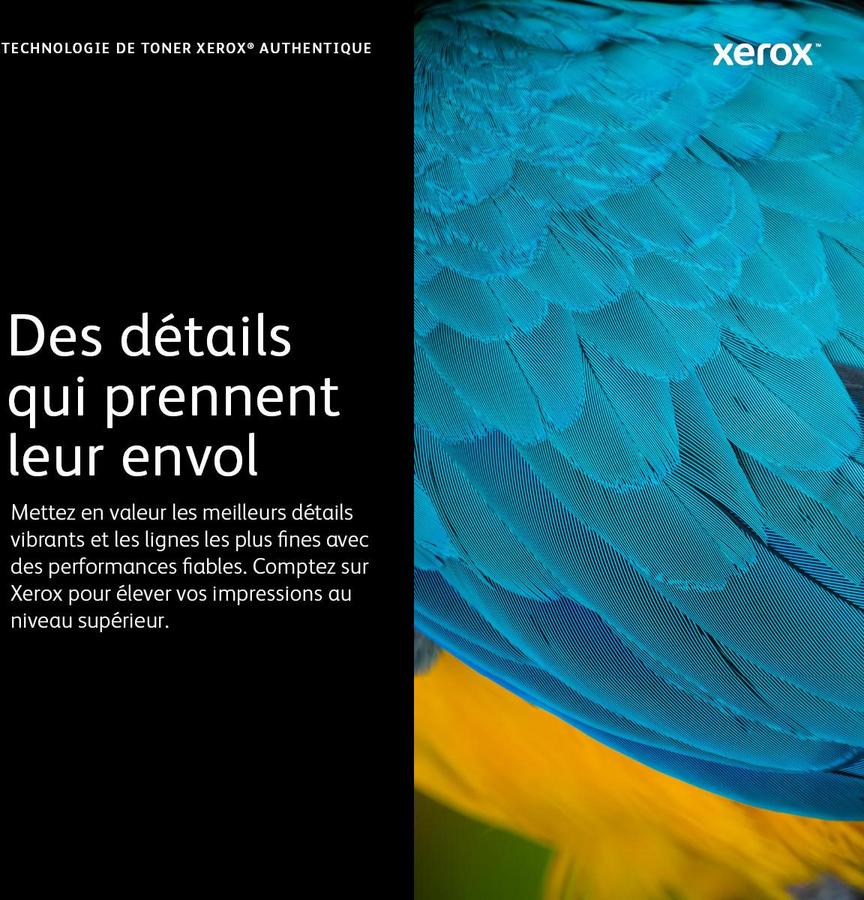 Toner laser Xerox 6R01516 - cyan - l'unité