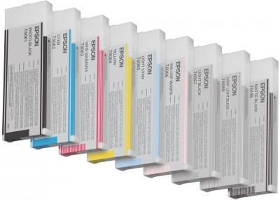 Cartouche d'encre Epson C13T606900 - gris clair - l'unité