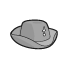 Tricornes
